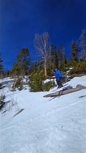 🌲 Log Jump ⛷️