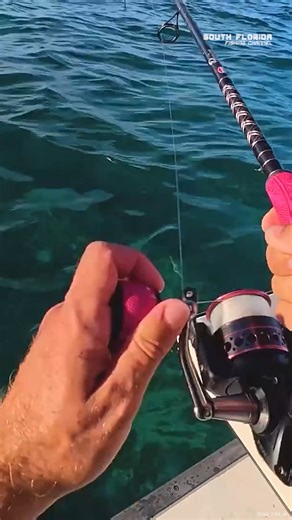 39K views · 462 reactions | Fishing for Some MUTTON Snapper #muttonsnapper #floridakeys #fishingfun | South Florida Fishing Channel | Facebook