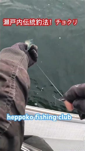 瀬戸内伝統釣法‼️チョクリ#shorts #youtubeshorts #真鯛 #タイ #タイサビキ #サビキ釣り #サビキ #fishing #釣り #釣りyoutube #瀬戸内海