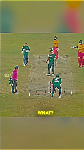 Hilarious Moment 🤣