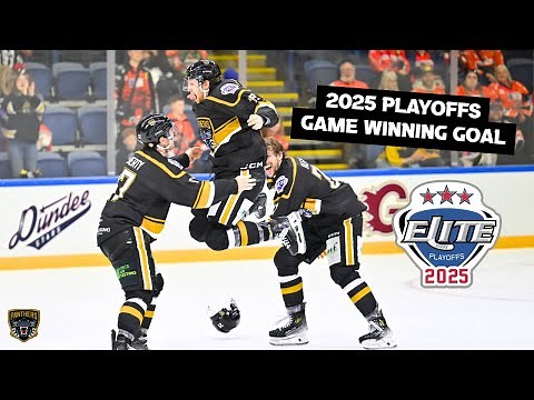 The playoff championship game-winning goal