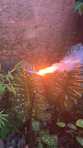 Experiment Firework Spinner #experiment #firecracker #shorts #fireworks | Brow Banger