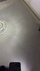 🎄🎉🥂 #christmas #food #reels #hack #salami | Raani Choice