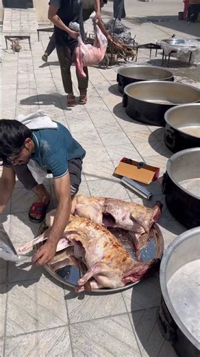 Full dumba recipe #hammadkhanvlogs #shinwarijongara #reels #shotrs #foodie #dumba