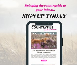 1.7K views | Bringing the countryside to your inbox... sign up to our newsletter!  https://www.countryfile.com/newsletters/ | BBC Countryfile Magazine | Facebook
