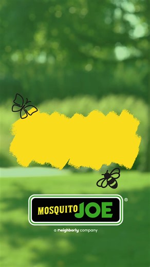 🌿 Mosquito Joe® is a proud Gold Member of the EPA’s Pesticide Environmental Stewardship Program (PESP), meaning we’re committed to smarter, more responsible outdoor pest control. From protecting pollinators to using greener treatment strategies, we go beyond the buzz. #MosquitoJoe #Neighborly #PESP #EcoFriendlyYard #GreenerPestControl #EnvironmentalStewardship | Mosquito Joe of North Georgia