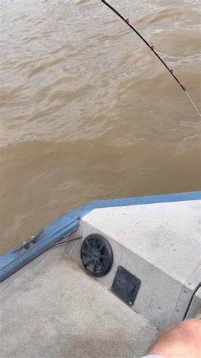 155K views · 587 reactions | Young man went BEAST MODE!!! Bet was made on this one, someone got wet | Reel Good Time Guide Service | Facebook