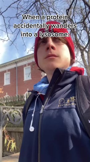 Proteasome vs Lysosome: Understanding the Role of Cellular Components