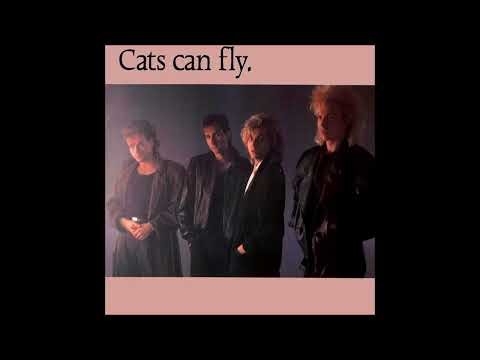 Cats Can Fly - Cold hands, warm heart [lyrics] (HQ Sound)