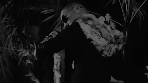 "Baby Rasta" ❌ Dejalos Que Hablen' Disfruta El Momento' #babyrastaygin...