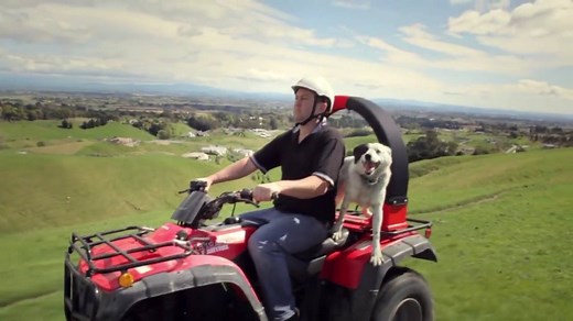 Here is an insight into how our ATV Lifeguard works. A revolutionary roll bar for quads, taking quad safety to the next level. For more information see: https://www.grasstecgroup.com/agri-services/product/atvlifeguard/ | Grasstec