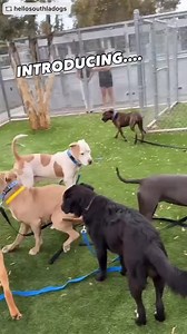 2.4K views · 134 reactions | Great news… Kayla was rescued! Please...