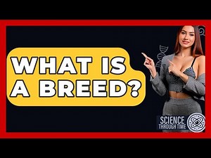 What Is A Breed? - Science Through Time
