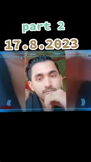 Tropical Paradise: Palm Trees and Serene Skies