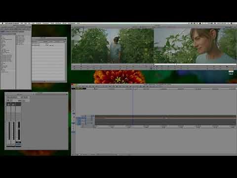 Speed Ramping in AVID Media Composer