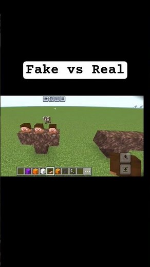 Minecraft Fake vs Real Video 🥶 Vortex Gamer VortexGamerofficial0