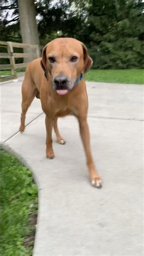 Walk Time