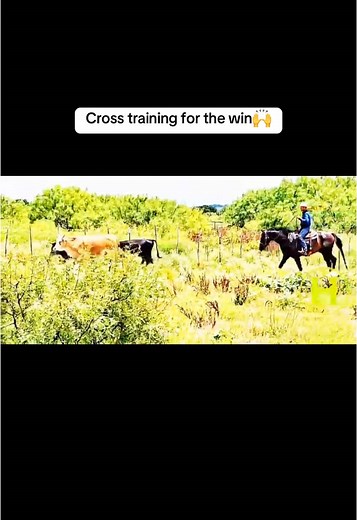 Cross Training Benefits for Athletes and Fitness Fans