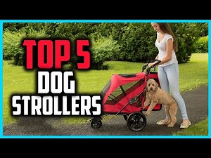 ✅Top 5 Best Dog Strollers for Small Pups and Big Walks in 2026
