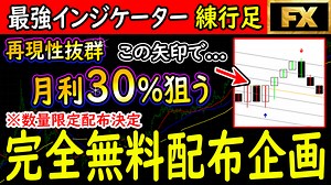 【完全無料】練行足を活用した簡単トレード方法解説マニュアル