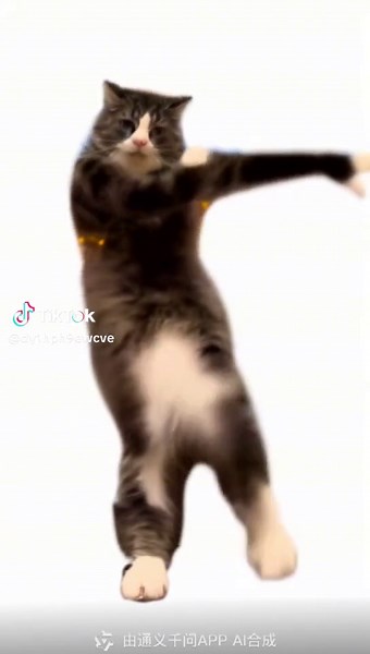 Dancing Cat App Tutorial: 通义万千 AI Filter Effect Pet Dance