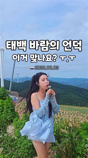 6월 태백 바람의 언덕 여행 가이드