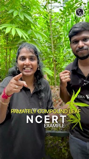 Palmately Compound Leaf 🌿 | Morphology of Flowering Plants | NCERT | NEET 2027 | PW NEET Telugu