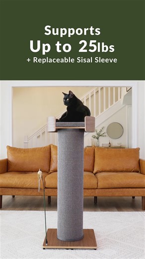 Cats love to climb—so let them! Encourage healthy play & exploration with the Giant Scratching Tower, giving them a safe space to climb while keeping your furniture scratch-free. | One Fast Cat