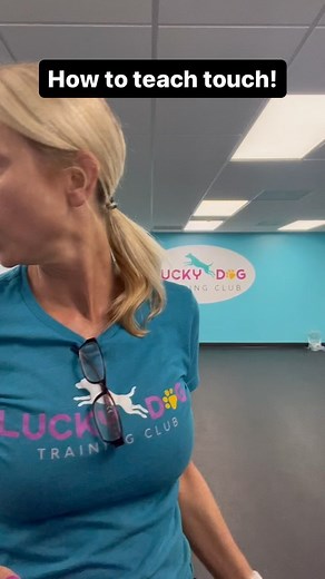 17K views · 15 comments | How to teach touch! #DogTraining #PuppyTraining #Puppies #DogsOfInstagram #dogtrainer | Dynamite Dog Training | Facebook
