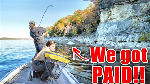 Tournament-winning bass destroy giant swimbaits on camera