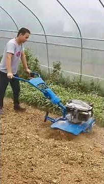 Loncin 196CC Engine Tiller