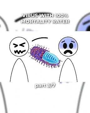 The Moment Rabies Enters Your Nervous System