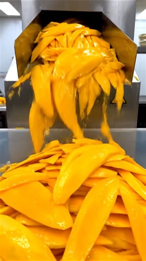 Satisfying Mango Processing in Factory #Mango #Fruit #FoodProcessing #SatisfyingVideo #Factory