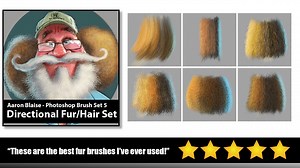 Aaron Blaise | Custom PS Fur/Hair Brushes Vol. 1