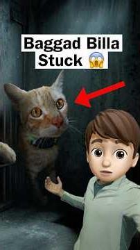 Ghar Billa Gayab Kaha Gaya 😱