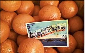 Dunedin Orange Festival: ‘After Dark’ In, QR Scavenger Hunt Out