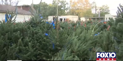 Christmas tree lots gearing up for the season
