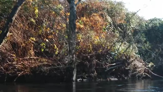 Wild and crazy chum action! 🔥 | Addicted Fishing