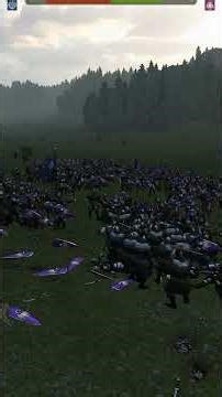 Imperial Legionaries vs Sturgian Heroic Line Breakers #bannerlord #bannerlordshorts #mountandblade2