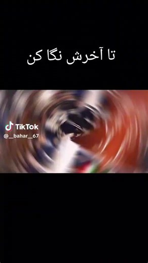 Sayed Sami Hashimi on TikTok