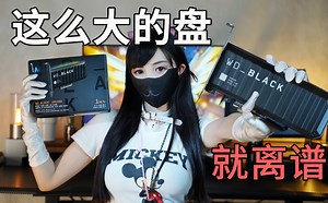 这么大的硬盘，你会买吗？