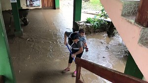 9.5K views · 257 reactions | Sloth Sanctuary Costa Rica on Reels | Facebook