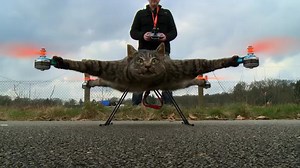 This guy turned his dead cat into a drone