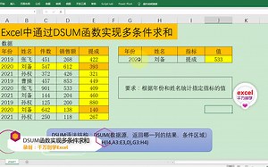 Excel中通过DSUM函数实现条件求和
