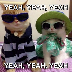 how to pronounce moonlight | Liam