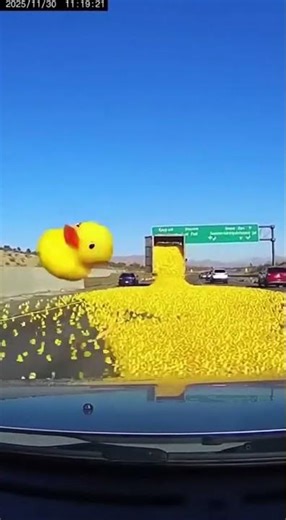 Thousands of Rubber Ducks Explode Across Highway