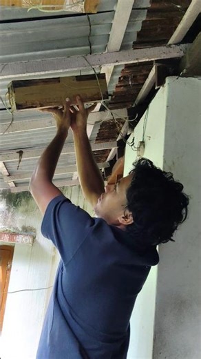 I'll get the job!😑 #bee #beekeeping #apiary #gardening #beekeeper #farming #cheruthenicha #stingl...