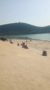 wybzlsj在抖音记录美好生活20250210