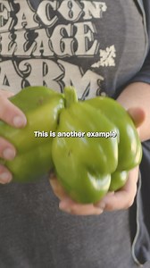 3.2M views · 838 reactions | Shop unique, specialty produce for up to 30% off. Misfits Market makes it easy to discover new items and other unique, sustainably sourced groceries. Order everything you need‚ and help rescue food that might otherwise go to waste. Sign up today! | Misfits Market | Facebook