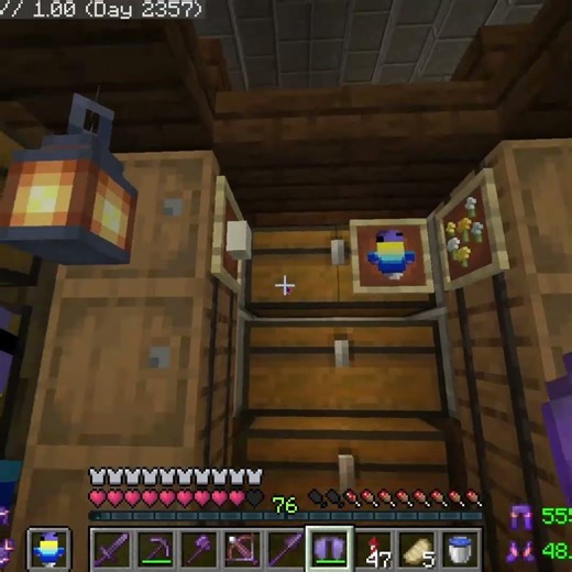 I have a problem #minecraft #shorts rts